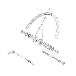 Ecrou Shimano Y012Z4076 - (x1)